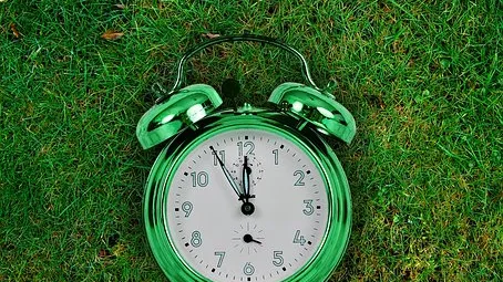 Rubrik_Naturschutz_Biodiversitaet-pixabay-the-eleventh-hour-2561609__340